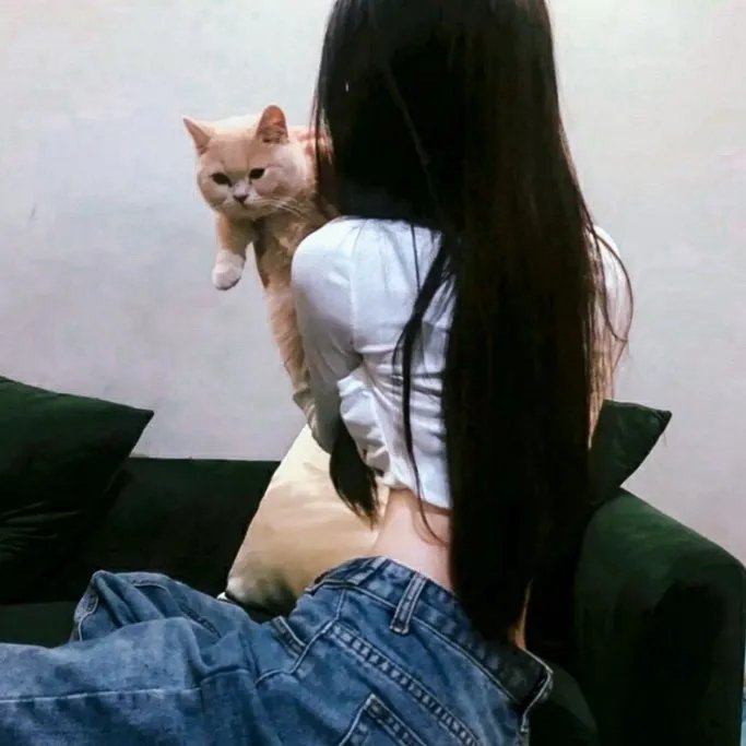 苏乞儿